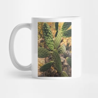 A Prickly Experience © Mug